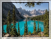 Kanada, Drzewa, Góry, Alberta, Park Narodowy Banff, Jezioro Moraine, Las