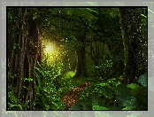 Las, Dżungla, Ścieżka, Drzewa, Przebijające światło