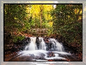 Las, Stan Michigan, Jesień, Stany Zjednoczone, Wodospad Chapel Falls, Mostek, Park Narodowy Pictured Rocks National Lakeshore, Miejscowość Munising