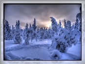 Zima, Las, Finlandia