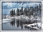 Zima, Las, Jezioro