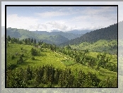 Łąki, Lasy, Góry