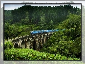 Pociąg Elektryczny, Sri Lanka, Demodara, Most Nine Arches Bridge, Lasy