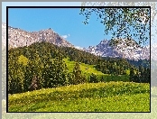 Góry, Lasy, Łąka