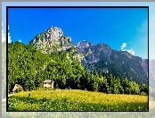 Góry, Lasy, Domy