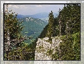 Góry, Lasy, Drzewa