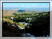 Góry, Lasy, Iglaste