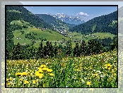 Lasy, Dolina, Tyrol, Wioska, Wildschoenau, Łąka