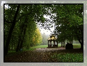 Lato, Altana, Park, Mgła