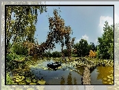 Lato, Drzewa, Staw, Łódz