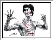 Bruce, Lee, Rysunek