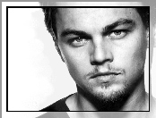 Leonardo DiCaprio, jasne oczy, bródka