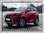 Lexus NX, 2018