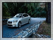 Lexus, GS 350, Drzewa