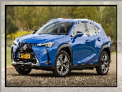 Lexus UX, Elektryczny