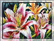 Lilie, Akwarela, Kwiaty