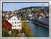 Most, Szwajcaria, Rzeka Limmat, Drzewa, Budynek, Zurych