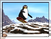Linux, Pingwin, Snowbord, Śnieg, Zima