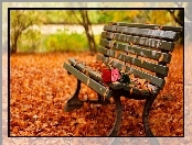 Liście, Park, Jesień, Staw, Ławka, Róże