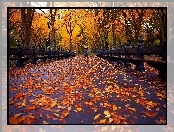 Liście, Park, Jesień, Kwiaty, Ławki, Gazon
