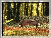 Liście, Park, Ławka, Drzewa, Jesień