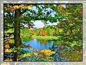 Liście, Jesień, Jezioro, Drzewa, Kolorowe