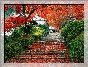 Liście, Dom, Japonia, Drzewo, Schody