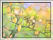 Liście, Fractalius