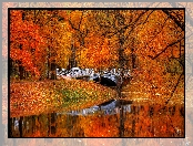 Jesień, Liście, Odbicie, Park, Drzewa, Rzeka, Most
