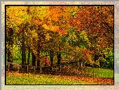 Liście, Jesień, Drzewa, Ogrodzenie, Trawa