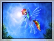 My Little Pony Przyjaźń To Magia, Rainbow Dash