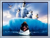 Lód, Happy Feet, Pingwiny, Tupot małych stóp