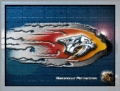 Logo, Nashville Predators, Drużyny, NHL
