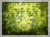 Lolita Lempicka, liście, bluszcz