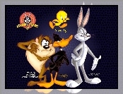 Postacie, Looney Tunes