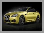 BMW M6 Celebration Edition, Specjalna, 2016, Edycja