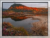 Kołyma, Drzewa, Góry Kołymskie, Rosja, Jezioro Jack London, Magadan