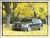 Dodge Magnum, Drzewa