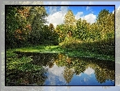 Las, Małe, Jezioro