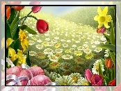 Malowane, Wiosenne, Kolorowe, Wielkanocne, Kwiatki, Jaja