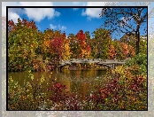 Jesień, Most, Manhattan, Stany Zjednoczone, Nowy Jork, Central Park, Drzewa, Jezioro