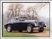 Aston Martin, DB2