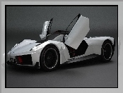 Marussia B1, Drzwi, Unoszone