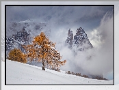 Zima, Masyw Schlern, Włochy, Drzewa, Mgła, Góry, Dolomity