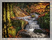 Kolorowe, Potok, Skały, Las, Jesień, Lumsdale Waterfall, Wodospad, Drzewa, Matlock, Anglia, Liście