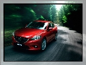 Mazda 6, Droga, Las