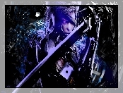 Metal Gear Rising Revengeance, Raiden