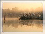 Jezioro, Mgła, Trzcina