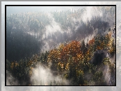 Mgła, Jesień, Góry, Las, Drzewa