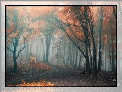 Las, Mgła